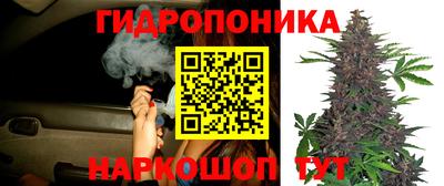 СК Донской
