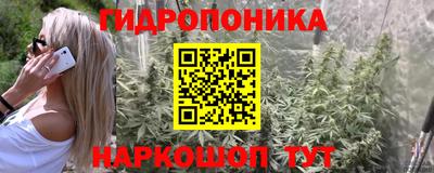 СК Донской